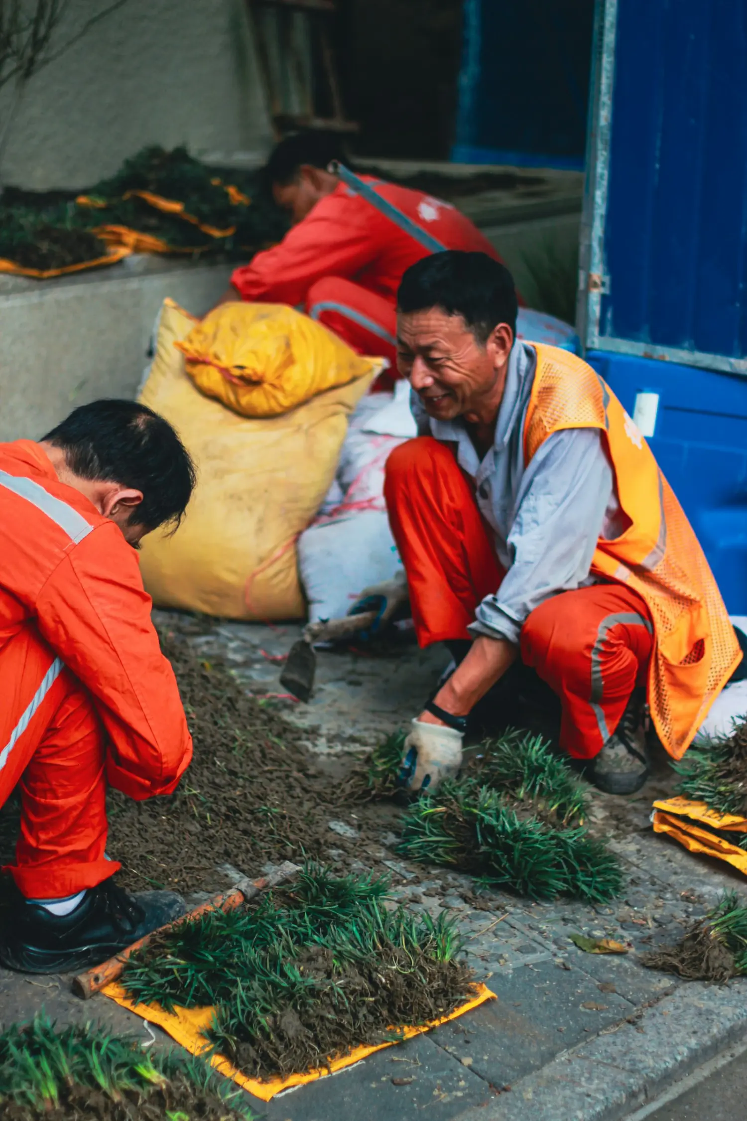 Arbeiter beim Rollrasen verlegen auf einer Fläche in Wien